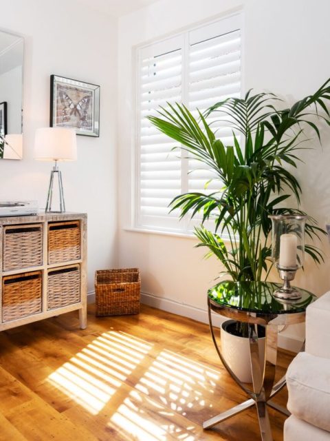 Solid Interior Shutters