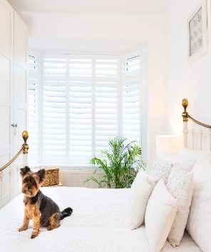 White Plantation Shutters